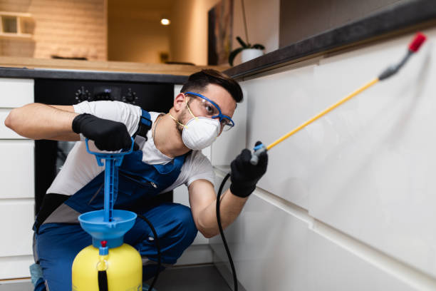 Best Emergency Pest Control  in Cumberland Center, ME