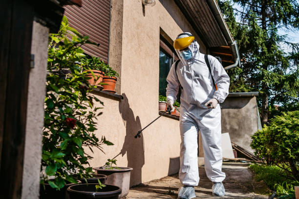 Best Pest Inspection Near Me  in Cumberland Center, ME