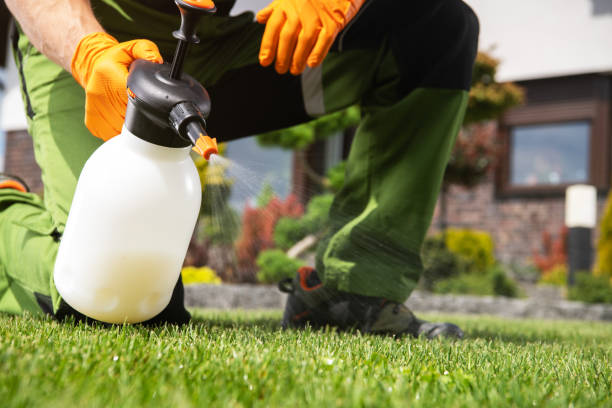 Best Pest Control Treatment  in Cumberland Center, ME