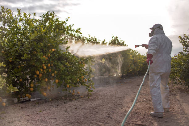 Best Pest Removal Services  in Cumberland Center, ME