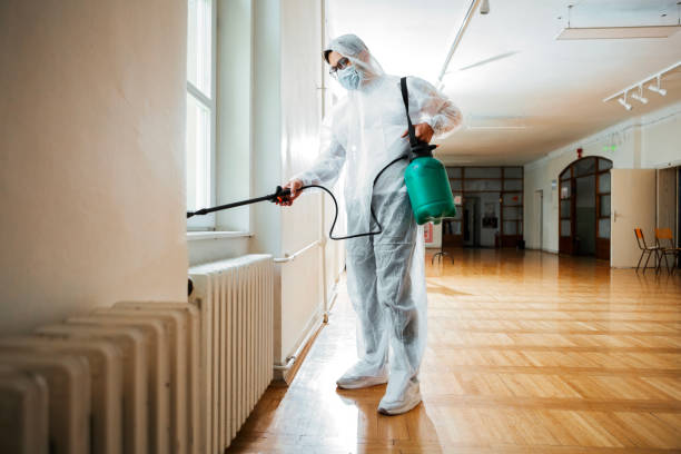 Best Termite Control Services  in Cumberland Center, ME