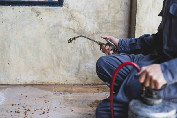 Best Pest Removal Services  in Cumberland Center, ME